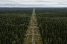 Kraftledningar och stamnät i skogslandskap under molnig himmel