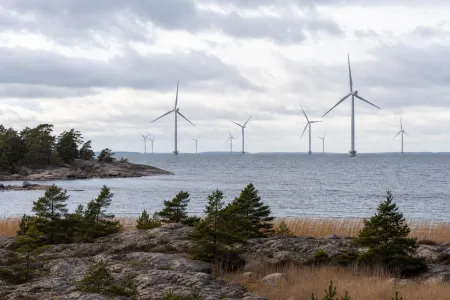 Naturmiljö i närheten av vindkraft