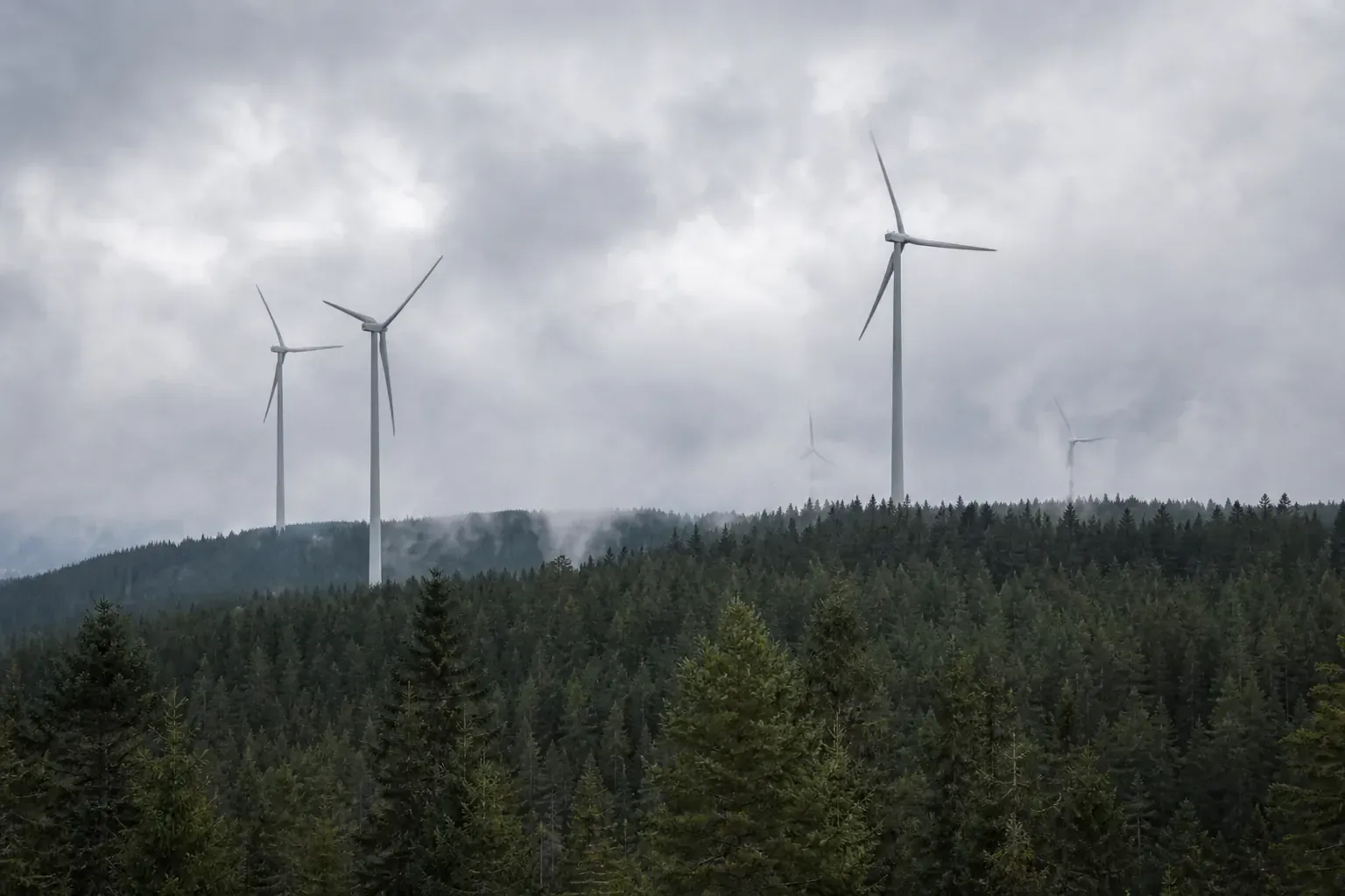 Vindkraftverk som reser sig över en svensk granskog på en ås