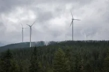 Vindkraftverk som reser sig över en svensk granskog på en ås